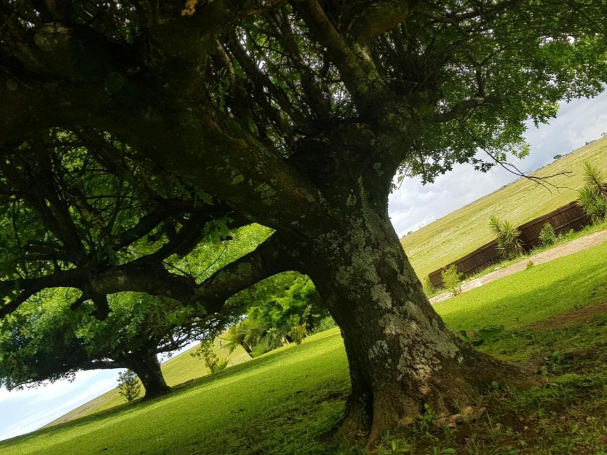 Paradise View Guesthouse Graskop Exterior foto
