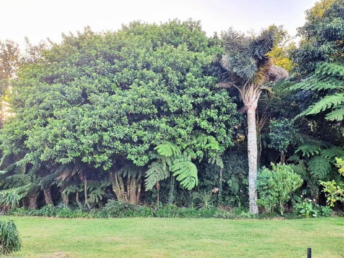 Paradise View Guesthouse Graskop Exterior foto