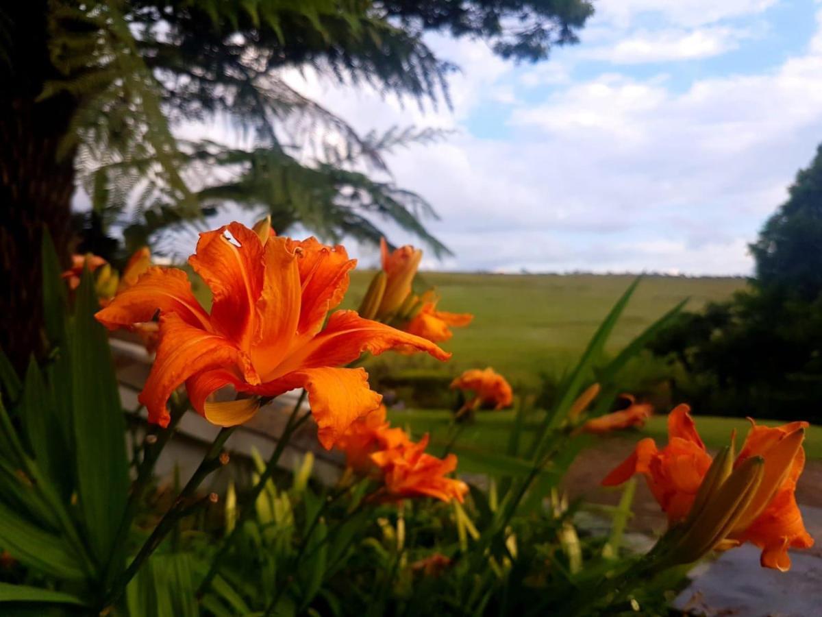 Paradise View Guesthouse Graskop Exterior foto