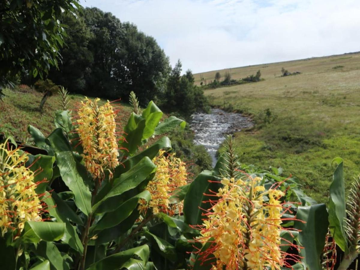 Paradise View Guesthouse Graskop Exterior foto