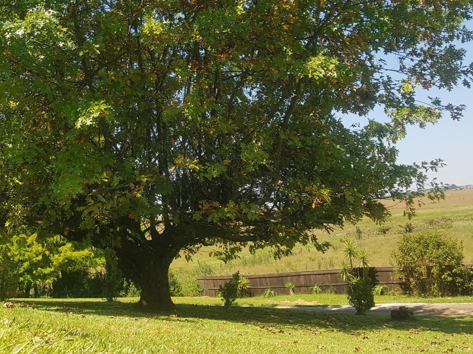 Paradise View Guesthouse Graskop Quarto foto